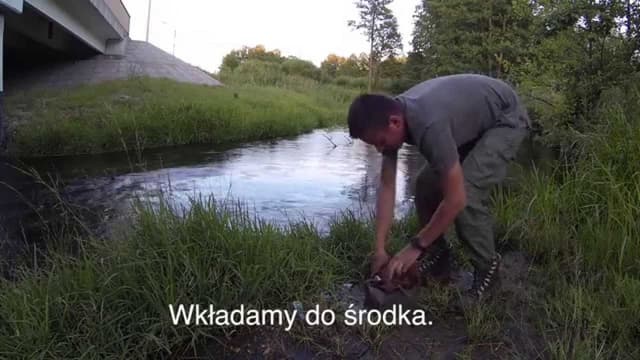 Czuwaszja