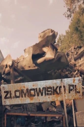Złomowisko PL Vider