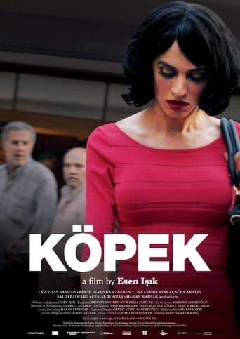 Köpek Vider