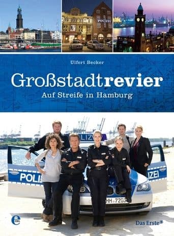 Großstadtrevier Vider