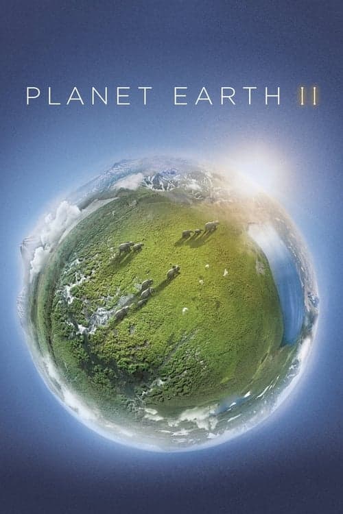 Planeta Ziemia II Vider Cały Serial Online - LEKTOR PL